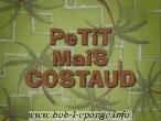 Petit mais costaud