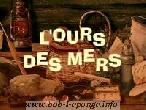 L'ours des mers