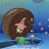 Bob L Eponge Patrick L Etoile De Mer Patrick Star Bob L Eponge Patrick L Etoile De Mer Patrick Star